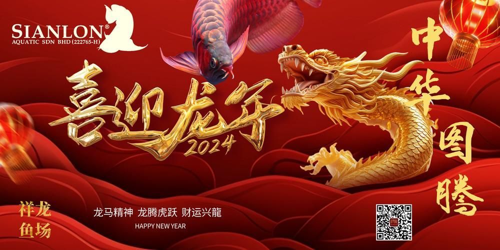 濟(jì)寧龍魚批發(fā)市場(chǎng)