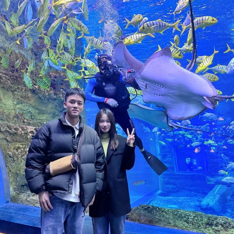 襄陽水族批發(fā)市場