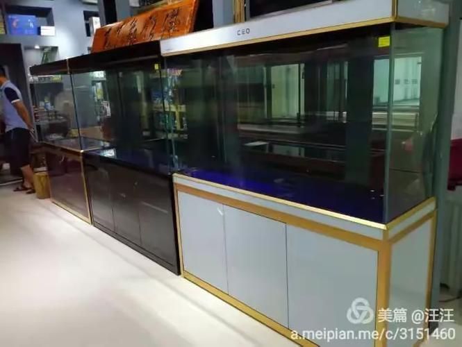 襄陽水族批發市場