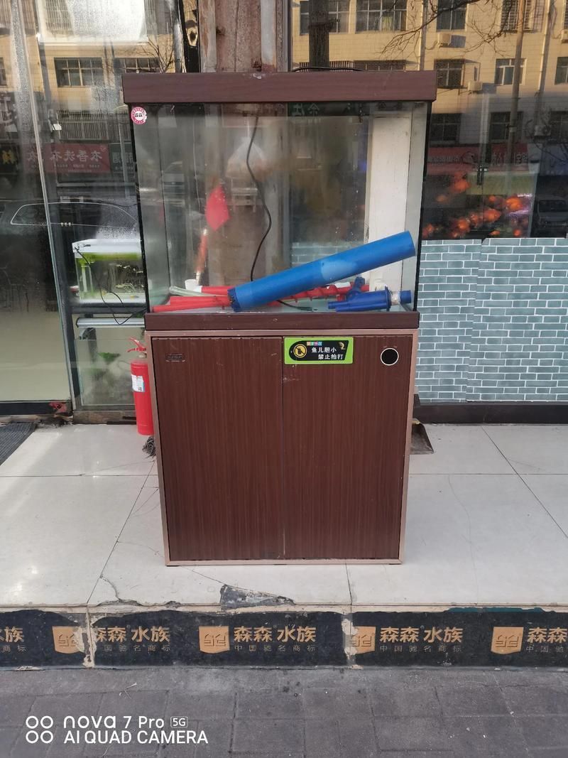滁州魚缸批發市場