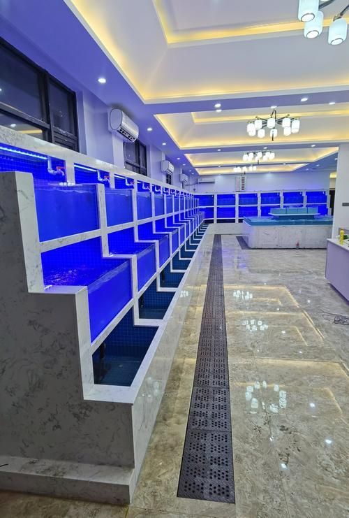 滁州魚缸批發市場