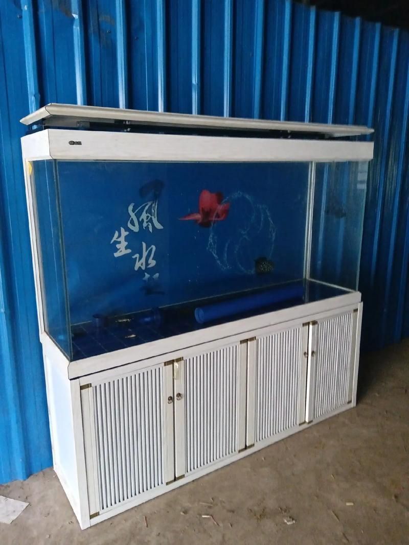 滁州魚缸批發市場