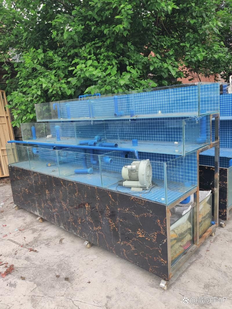 滁州魚缸批發市場