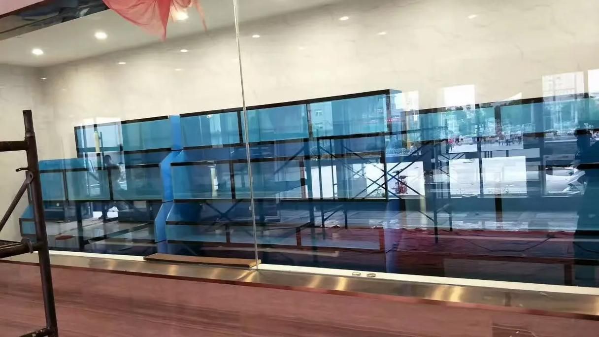 徐州魚缸批發(fā)市場