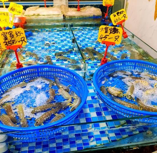 齊齊哈爾水族批發市場