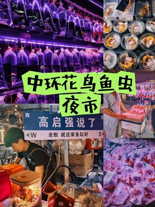 天津觀賞魚批發市場