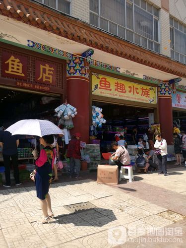 昆明水族批發(fā)市場