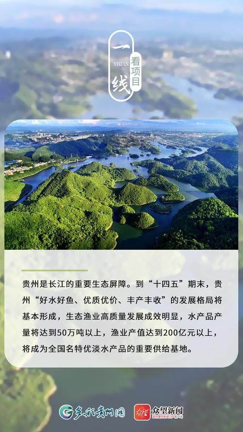 貴陽水族批發市場