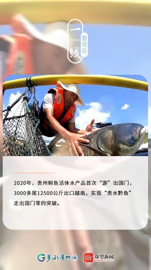 貴陽水族批發市場