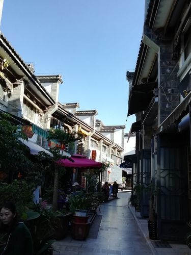 昆明觀賞魚批發市場