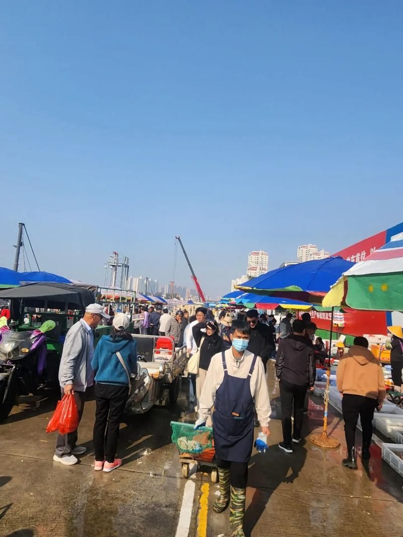 香港龍魚批發市場