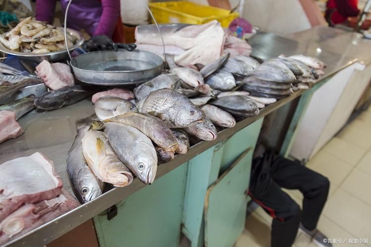 香港龍魚批發市場