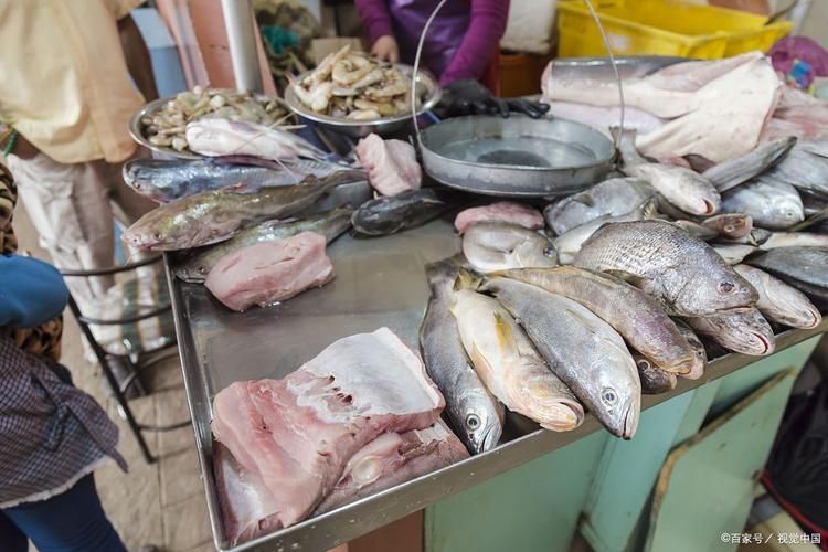 香港龍魚批發市場