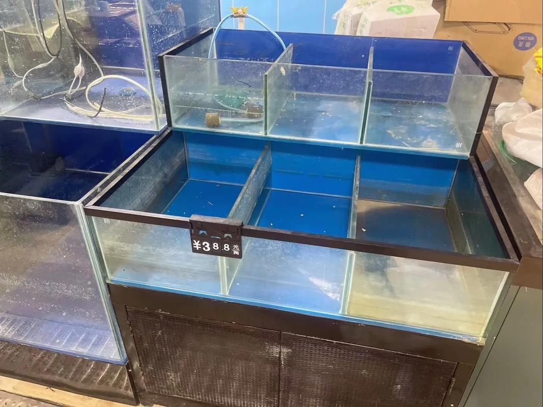 邵陽魚缸批發(fā)市場 邵陽魚缸批發(fā)市場 vs祥龍魚場 第4張