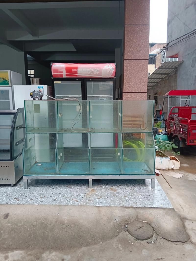 邵陽魚缸批發(fā)市場 邵陽魚缸批發(fā)市場 vs祥龍魚場 第6張