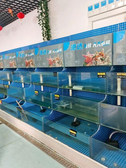 邵陽魚缸批發(fā)市場 邵陽魚缸批發(fā)市場 vs祥龍魚場 第13張