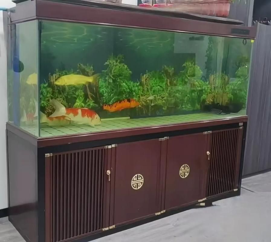 邵陽魚缸批發(fā)市場 邵陽魚缸批發(fā)市場 vs祥龍魚場 第20張