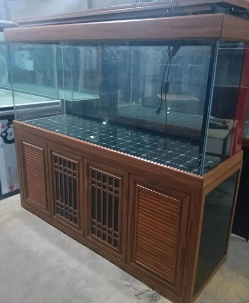 邵陽魚缸批發(fā)市場 邵陽魚缸批發(fā)市場 vs祥龍魚場 第12張