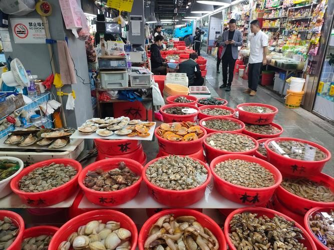 梅州水族批發(fā)市場(chǎng)