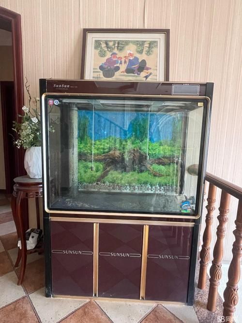 西安魚缸批發市場