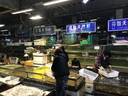湛江魚缸批發市場
