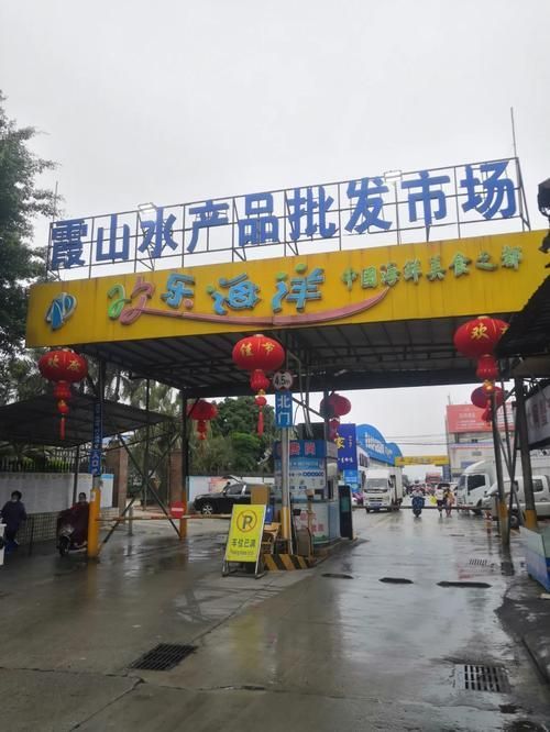 湛江魚缸批發市場