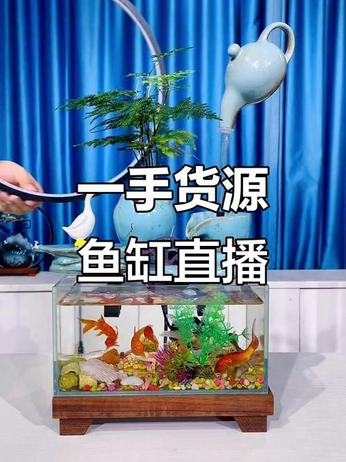 廊坊魚缸批發市場 廊坊魚缸批發市場 vs祥龍魚場 第7張
