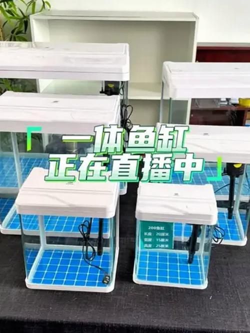廊坊魚缸批發市場 廊坊魚缸批發市場 vs祥龍魚場 第9張