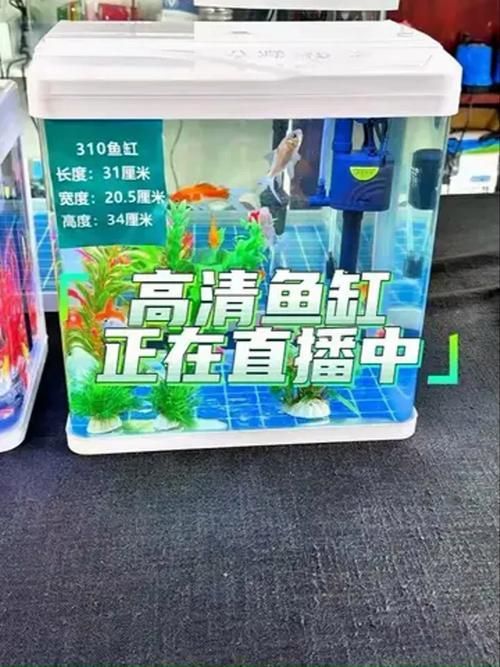 廊坊魚缸批發市場 廊坊魚缸批發市場 vs祥龍魚場 第11張