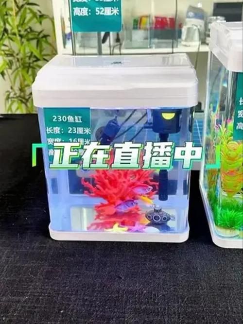 廊坊魚缸批發市場 廊坊魚缸批發市場 vs祥龍魚場 第12張