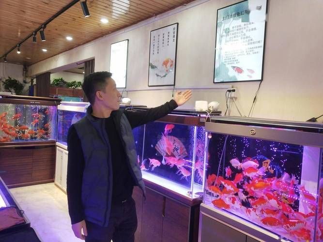 廊坊魚缸批發市場 廊坊魚缸批發市場 vs祥龍魚場 第8張