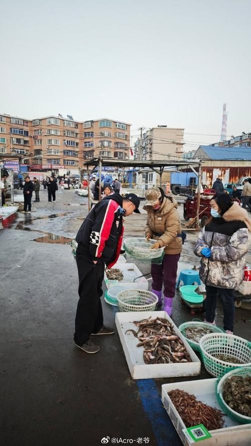 大連觀賞魚批發市場