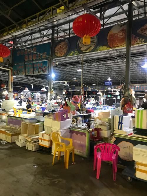 湛江龍魚批發市場