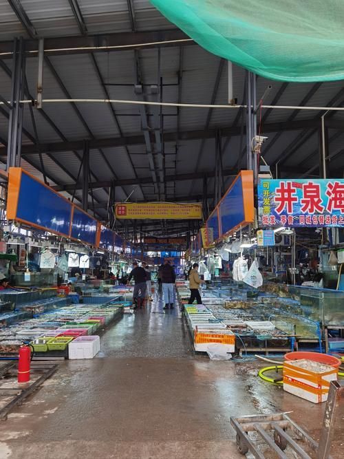 湛江龍魚批發市場