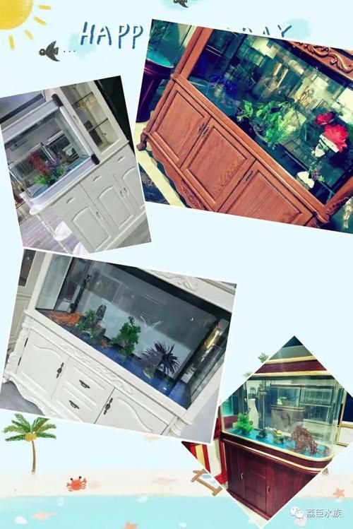 畢節(jié)水族批發(fā)市場(chǎng)