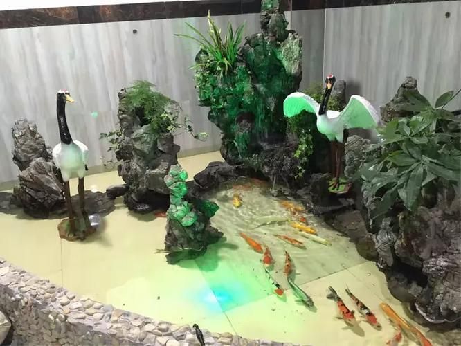 畢節(jié)水族批發(fā)市場(chǎng)