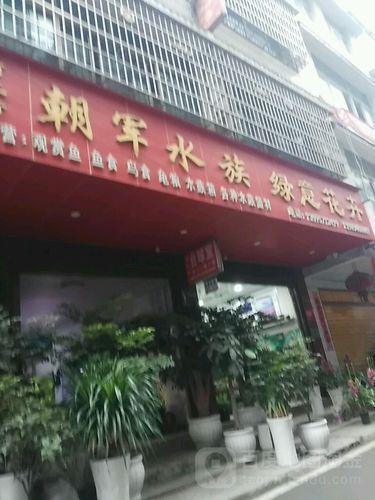 畢節(jié)水族批發(fā)市場(chǎng)