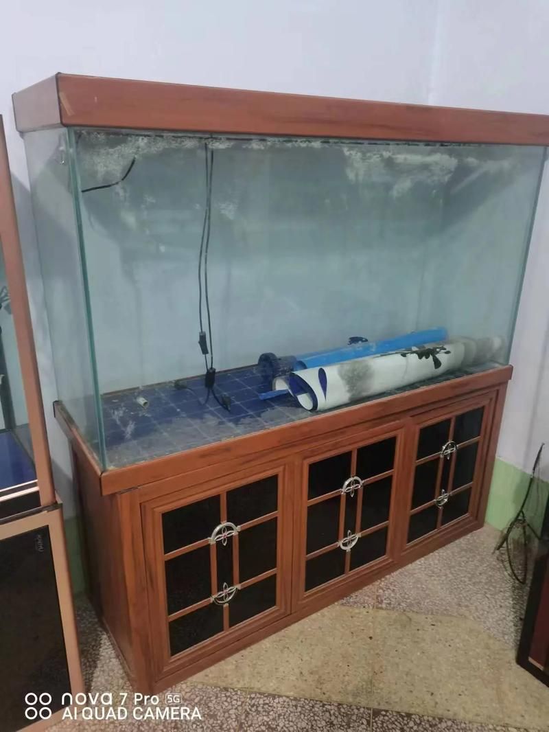 佛山魚缸批發(fā)市場 佛山魚缸批發(fā)市場 vs祥龍魚場 第7張