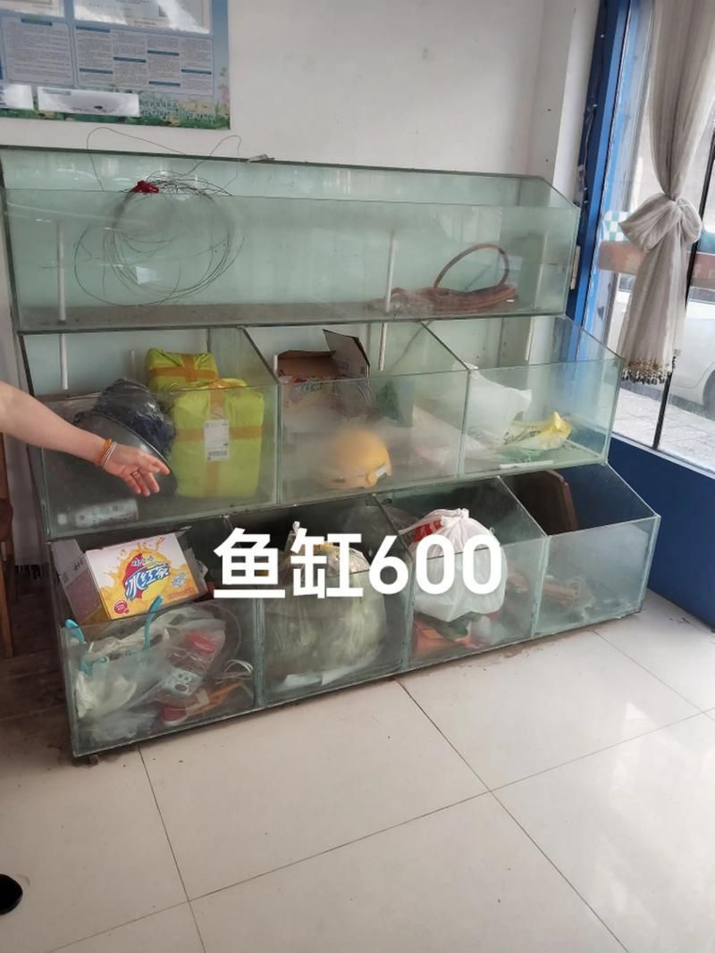 佛山魚缸批發(fā)市場 佛山魚缸批發(fā)市場 vs祥龍魚場 第9張