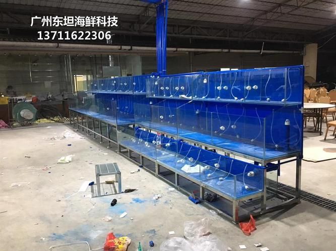 佛山魚缸批發(fā)市場 佛山魚缸批發(fā)市場 vs祥龍魚場 第16張