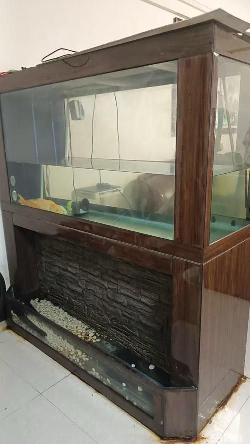 佛山魚缸批發(fā)市場 佛山魚缸批發(fā)市場 vs祥龍魚場 第14張