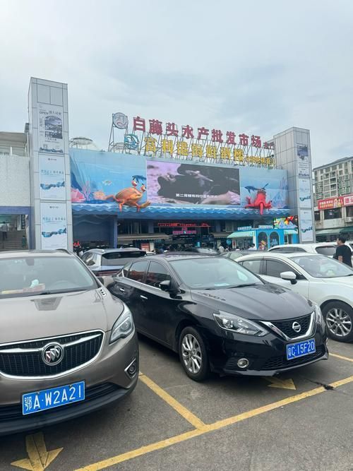 泉州水族批發(fā)市場