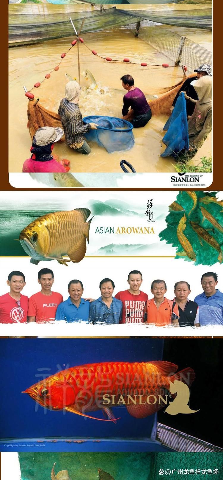 北京魚缸批發市場