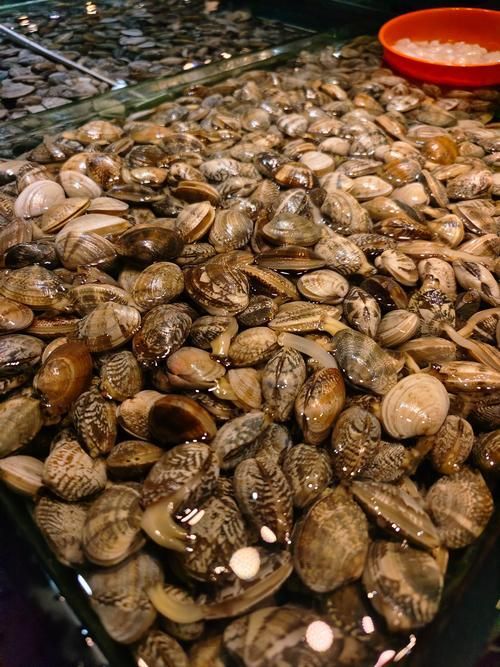 大連水族批發市場 大連水族批發市場 vs祥龍魚場 第4張