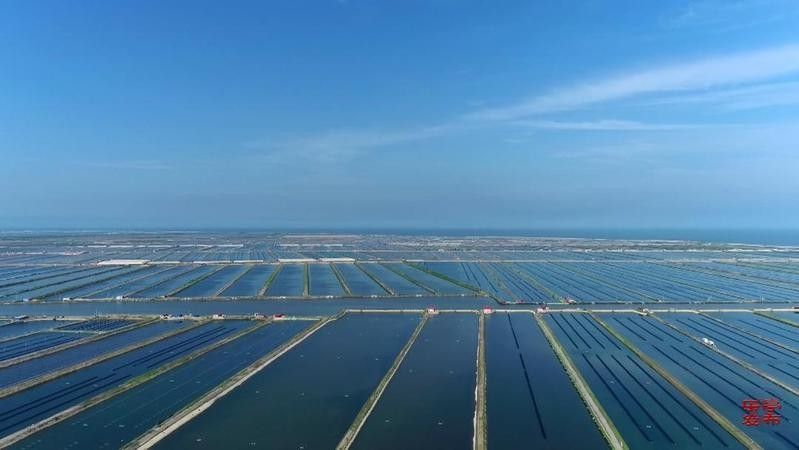 樂亭龍魚 樂亭龍魚 觀賞魚百科 第8張