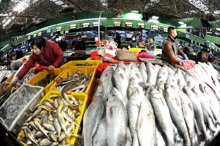 江西宜春龍魚批發(fā)市場(chǎng)（宜春春龍魚批發(fā)市場(chǎng)）
