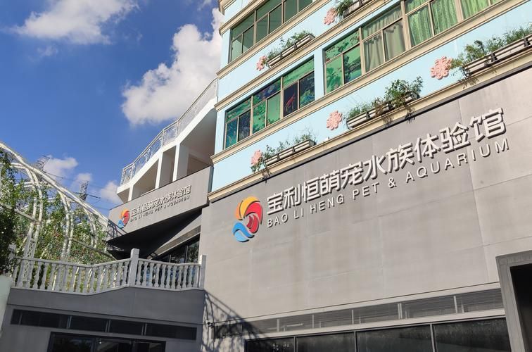 深圳水族批發市場祥龍魚場（深圳水族批發市場-祥龍魚場）