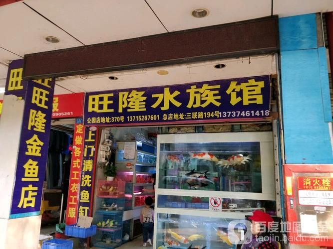 深圳水族批發市場祥龍魚場（深圳水族批發市場-祥龍魚場）