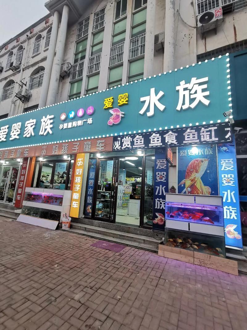 廣州龍魚批發市場有哪些（廣州龍魚批發市場和祥龍魚場品牌策略有哪些細節）