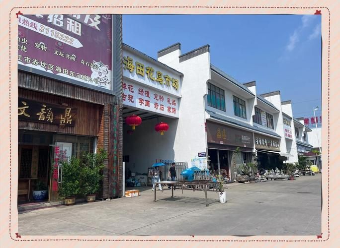 觀賞魚批發市場是一個集觀賞魚養殖、銷售和文化交流于一體的綜合性市場（廣東湛江觀賞魚批發市場）